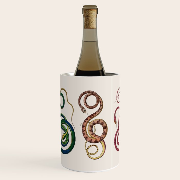 Albertus Seba Three Snakes Illustration  Wine Chiller Gallery Image 1