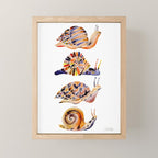 Snail Collection Mini Art Print Gallery Image 1
