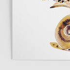 Snail Collection Poster Gallery Image 3