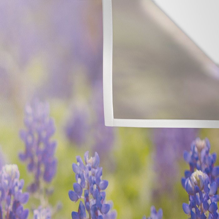 Texas Bluebonnets Wall Tapestry Gallery Image 3