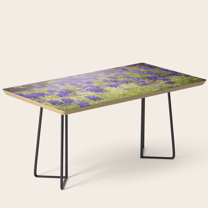 Texas Bluebonnets Coffee Table Gallery Image 1