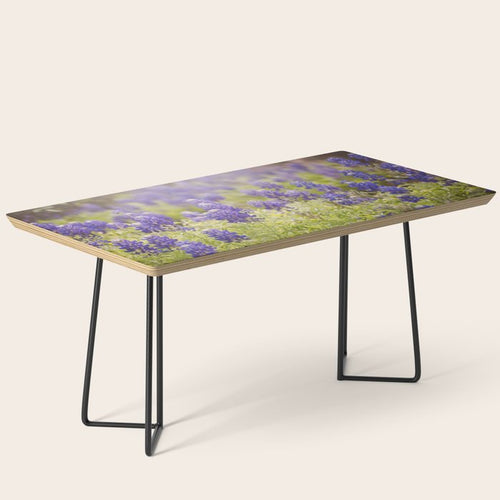 Texas Bluebonnets Coffee Table