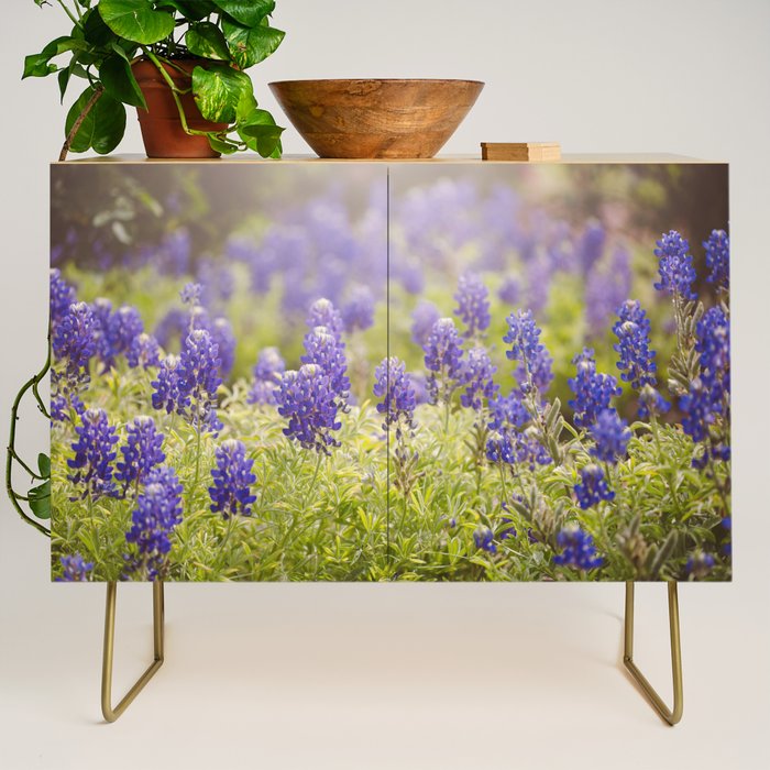 Texas Bluebonnets Credenza Gallery Image 1
