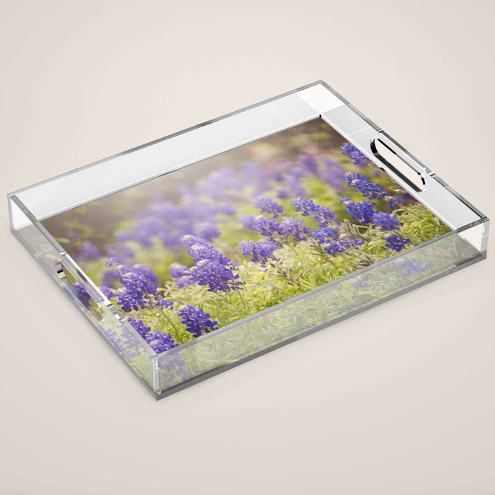 Texas Bluebonnets Acrylic Tray Gallery Image 1