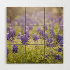 Texas Bluebonnets Wood Wall Art Gallery Image 1
