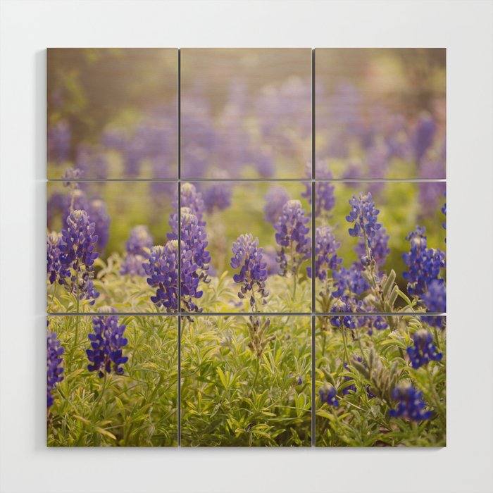 Texas Bluebonnets Wood Wall Art Gallery Image 1