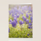 Texas Bluebonnets Stationery Card Gallery Image 2