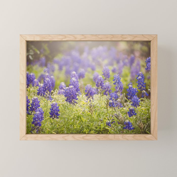 Texas Bluebonnets Mini Art Print Gallery Image 1