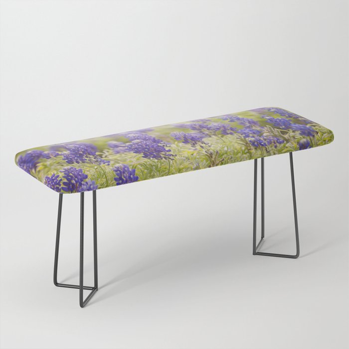 Texas Bluebonnets Bench