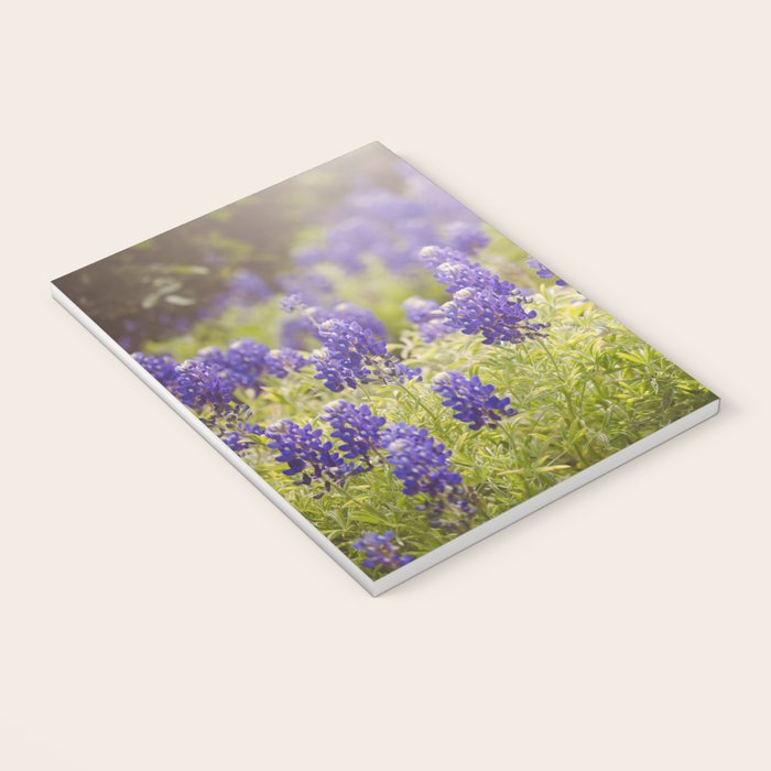 Texas Bluebonnets Notebook Gallery Image 3