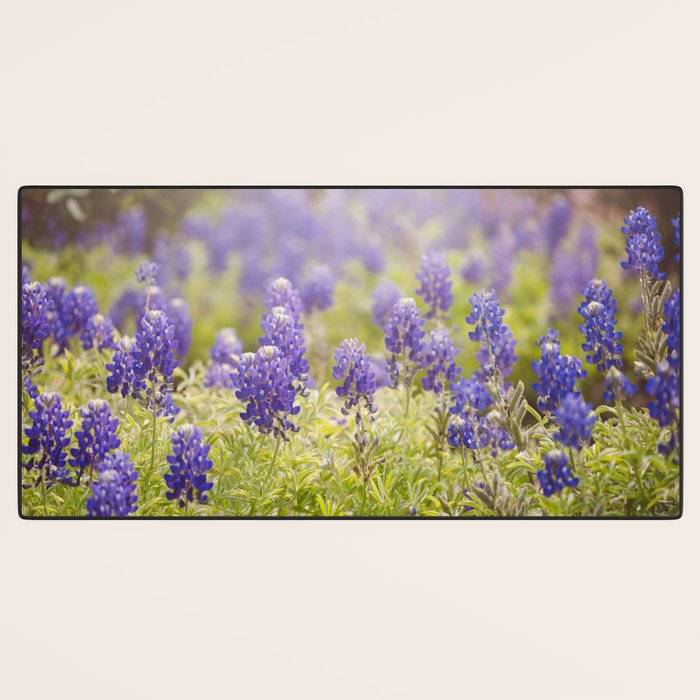 Texas Bluebonnets Desk Mat Gallery Image 3