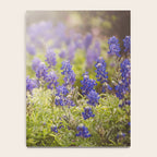 Texas Bluebonnets Notebook Gallery Image 4