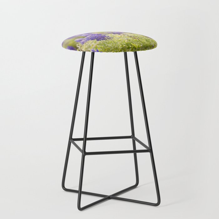 Texas Bluebonnets Stool