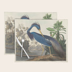 Louisiana Heron, Robert Havell after John James Audubon Placemat Gallery Image 1