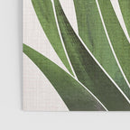 Desert Agave Succulent Illustration Poster Gallery Image 3