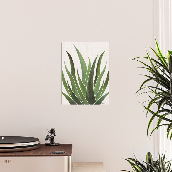 Desert Agave Succulent Illustration Poster Gallery Image 2