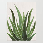 Desert Agave Succulent Illustration Poster Gallery Image 4