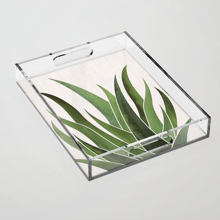 Desert Agave Succulent Illustration Acrylic Tray Gallery Image 1