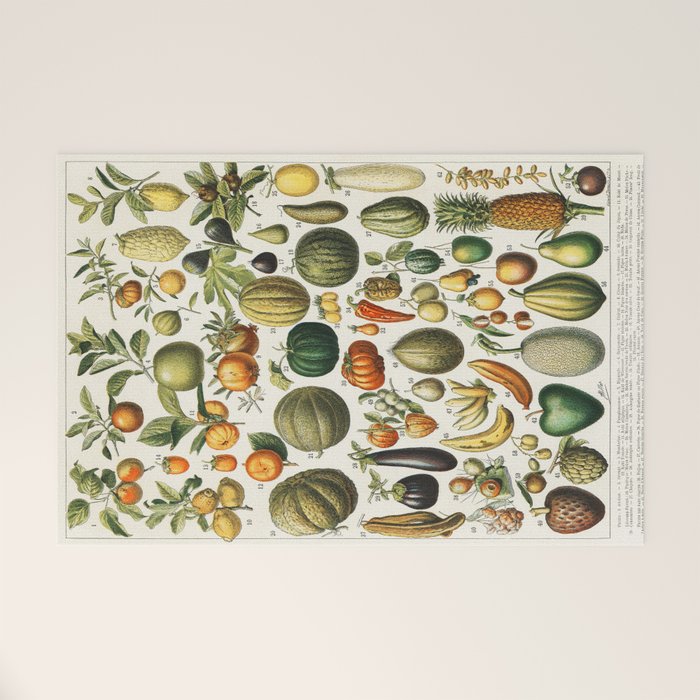 Vintage Scientific Illustration Fruits Botanical Floral Lithograph Encyclopaedia Diagrams  Welcome Mat Gallery Image 1