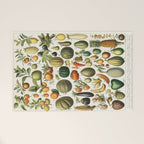 Vintage Scientific Illustration Fruits Botanical Floral Lithograph Encyclopaedia Diagrams  Welcome Mat Gallery Image 1