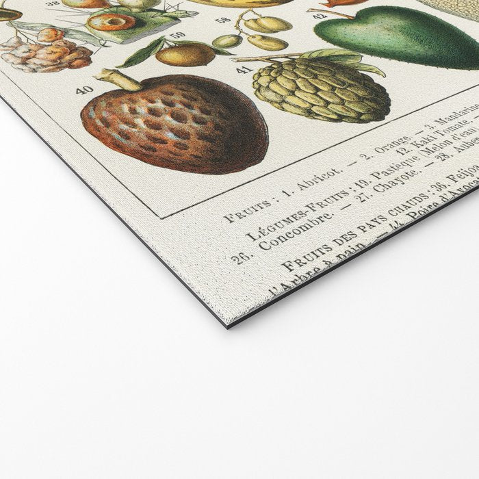 Vintage Scientific Illustration Fruits Botanical Floral Lithograph Encyclopaedia Diagrams  Welcome Mat Gallery Image 2