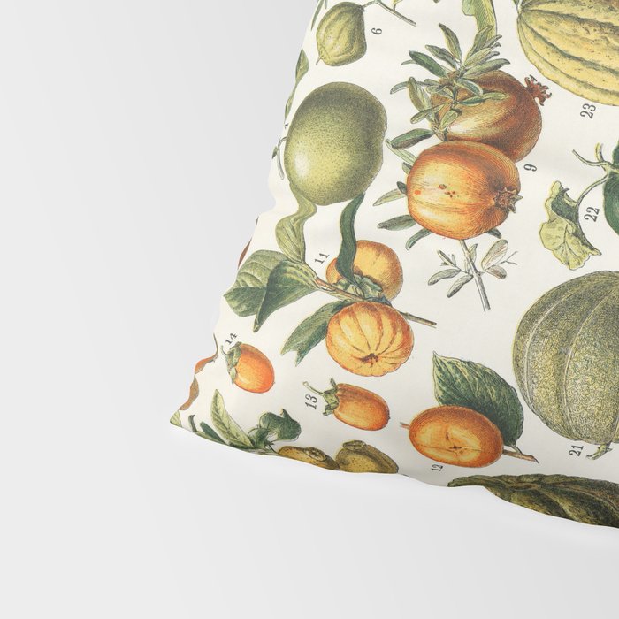 Vintage Scientific Illustration Fruits Botanical Floral Lithograph Encyclopaedia Diagrams  Pillow Sham Gallery Image 4