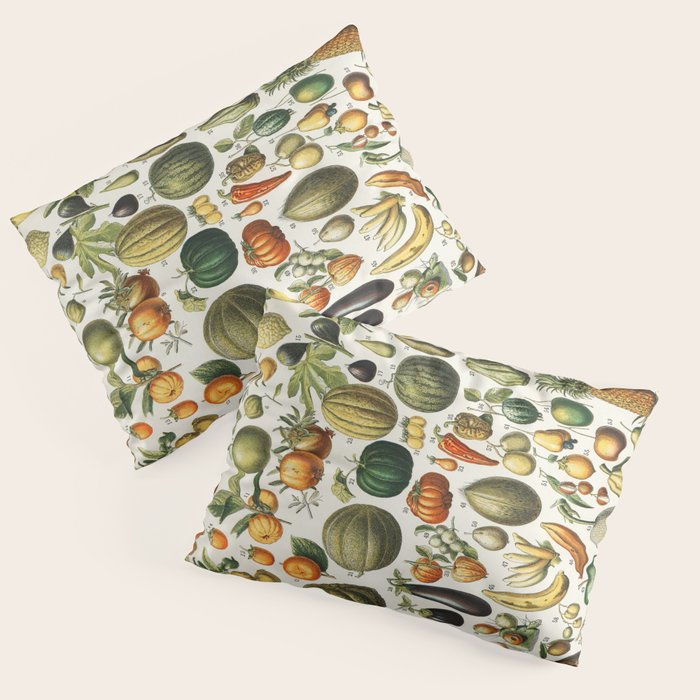 Vintage Scientific Illustration Fruits Botanical Floral Lithograph Encyclopaedia Diagrams  Pillow Sham Gallery Image 1
