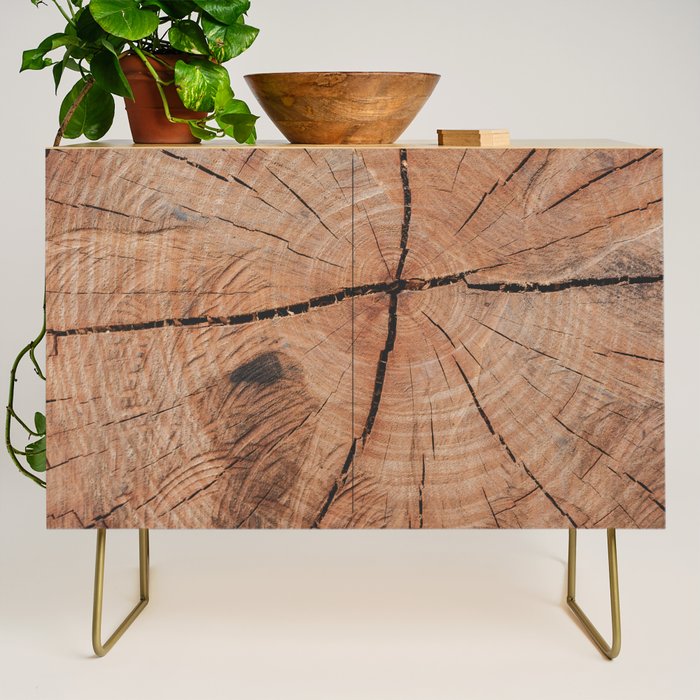 Tree Rings Rustic Cabin Lodge Raw Wood Credenza Gallery Image 1