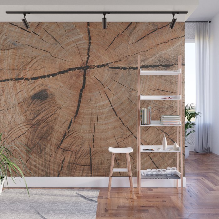 Tree Rings Rustic Cabin Lodge Raw Wood Wall Mural Gallery Image 1