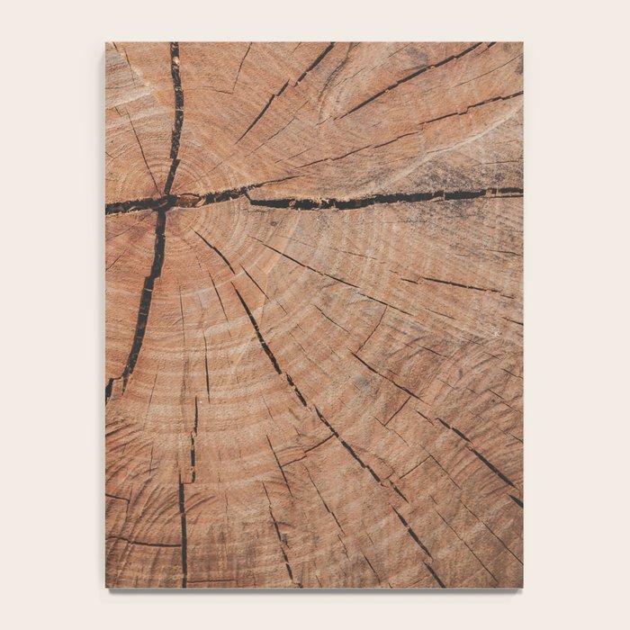 Tree Rings Rustic Cabin Lodge Raw Wood Notebook Gallery Image 4