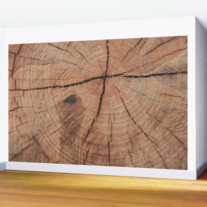 Tree Rings Rustic Cabin Lodge Raw Wood Wall Mural Gallery Image 2