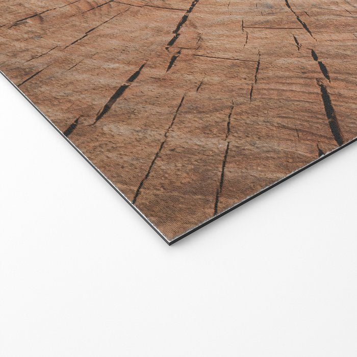 Tree Rings Rustic Cabin Lodge Raw Wood Welcome Mat Gallery Image 2