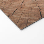 Tree Rings Rustic Cabin Lodge Raw Wood Welcome Mat Gallery Image 2