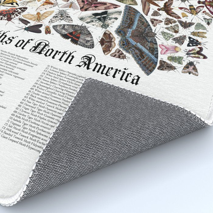 Moths of North America Rug Gallery Image 4