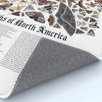 Moths of North America Rug Gallery Image 4