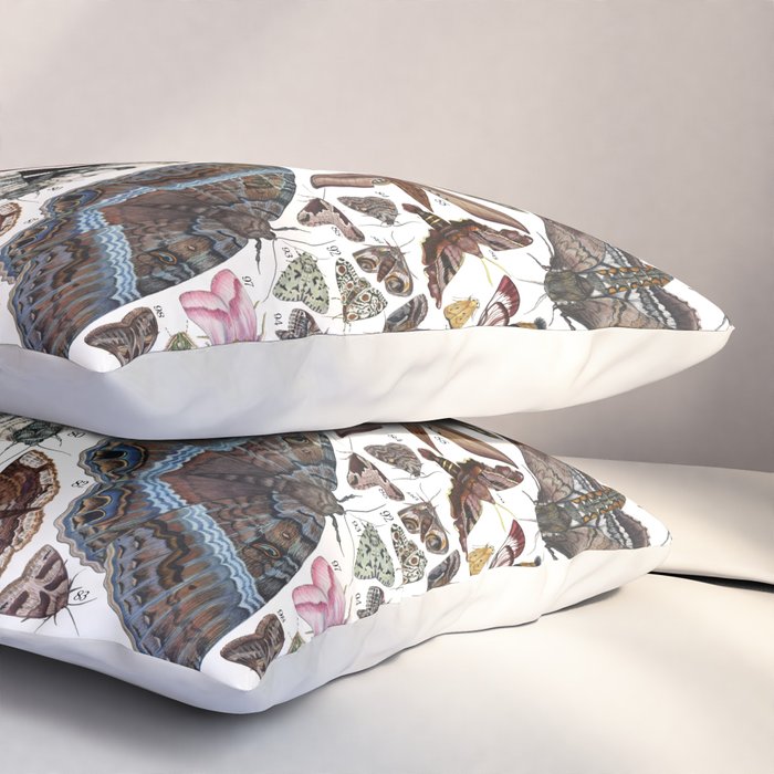 Moths of North America Pillow Sham Gallery Image 3