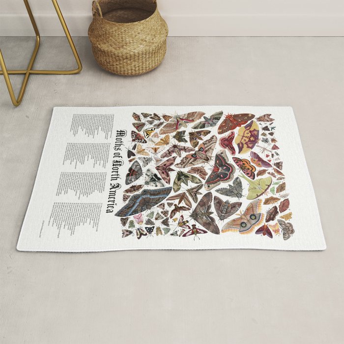 Moths of North America Rug Gallery Image 1