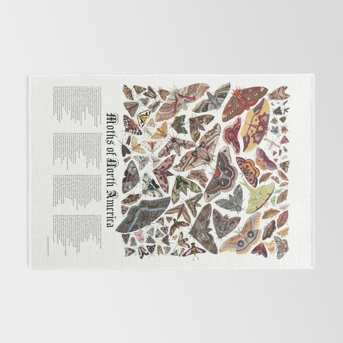 Moths of North America Rug Gallery Image 2