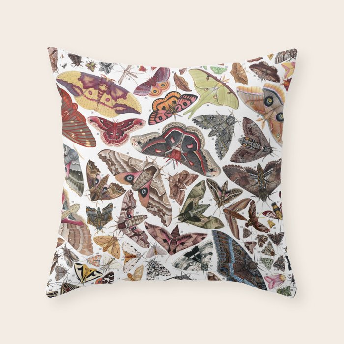 Moths of North America Throw Pillow Gallery Image 6