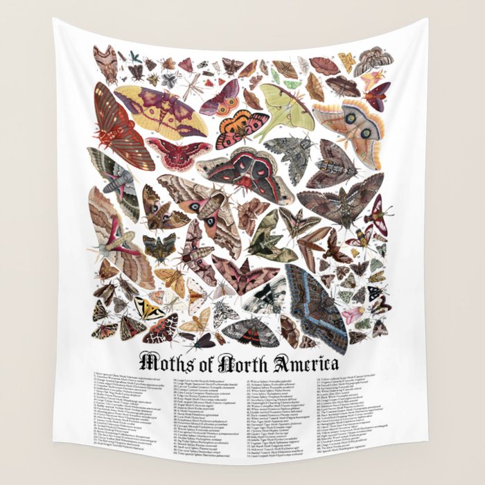 Moths of North America Wall Tapestry Gallery Image 4