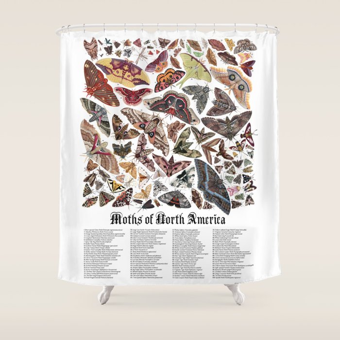 Moths of North America Shower Curtain Gallery Image 1