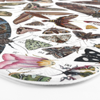 Moths of North America Bath Mat Gallery Image 3