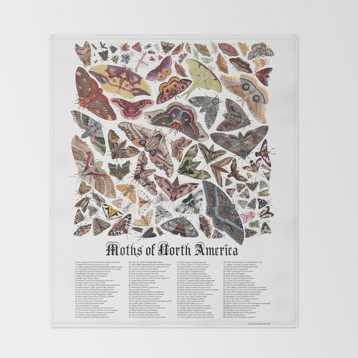 Moths of North America Throw Blanket Gallery Image 2