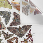 Moths of North America Wall Tapestry Gallery Image 3