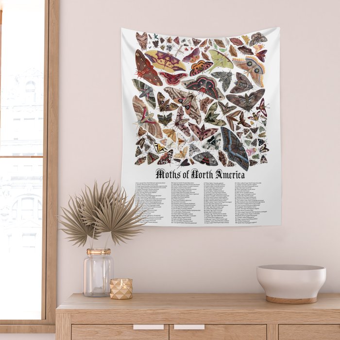 Moths of North America Wall Tapestry Gallery Image 2