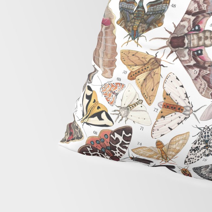 Moths of North America Pillow Sham Gallery Image 4