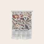 Moths of North America Wall Hanging Gallery Image 1