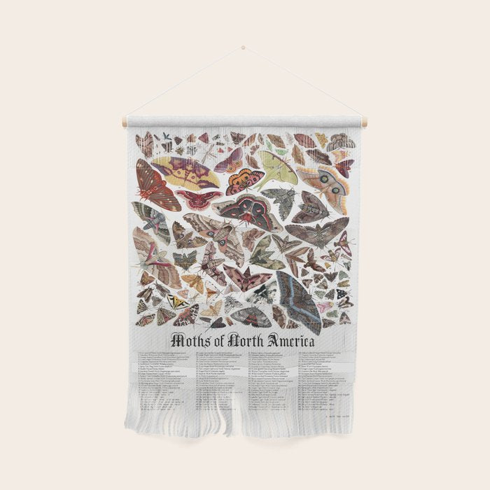 Moths of North America Wall Hanging Gallery Image 1