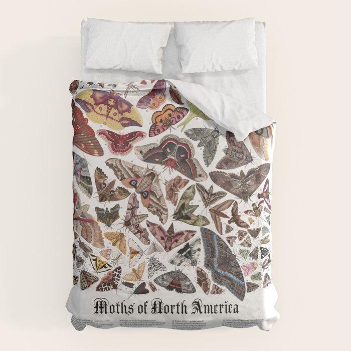 Moths of North America Duvet Cover