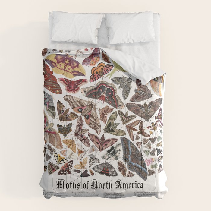 Moths of North America Comforter Gallery Image 6